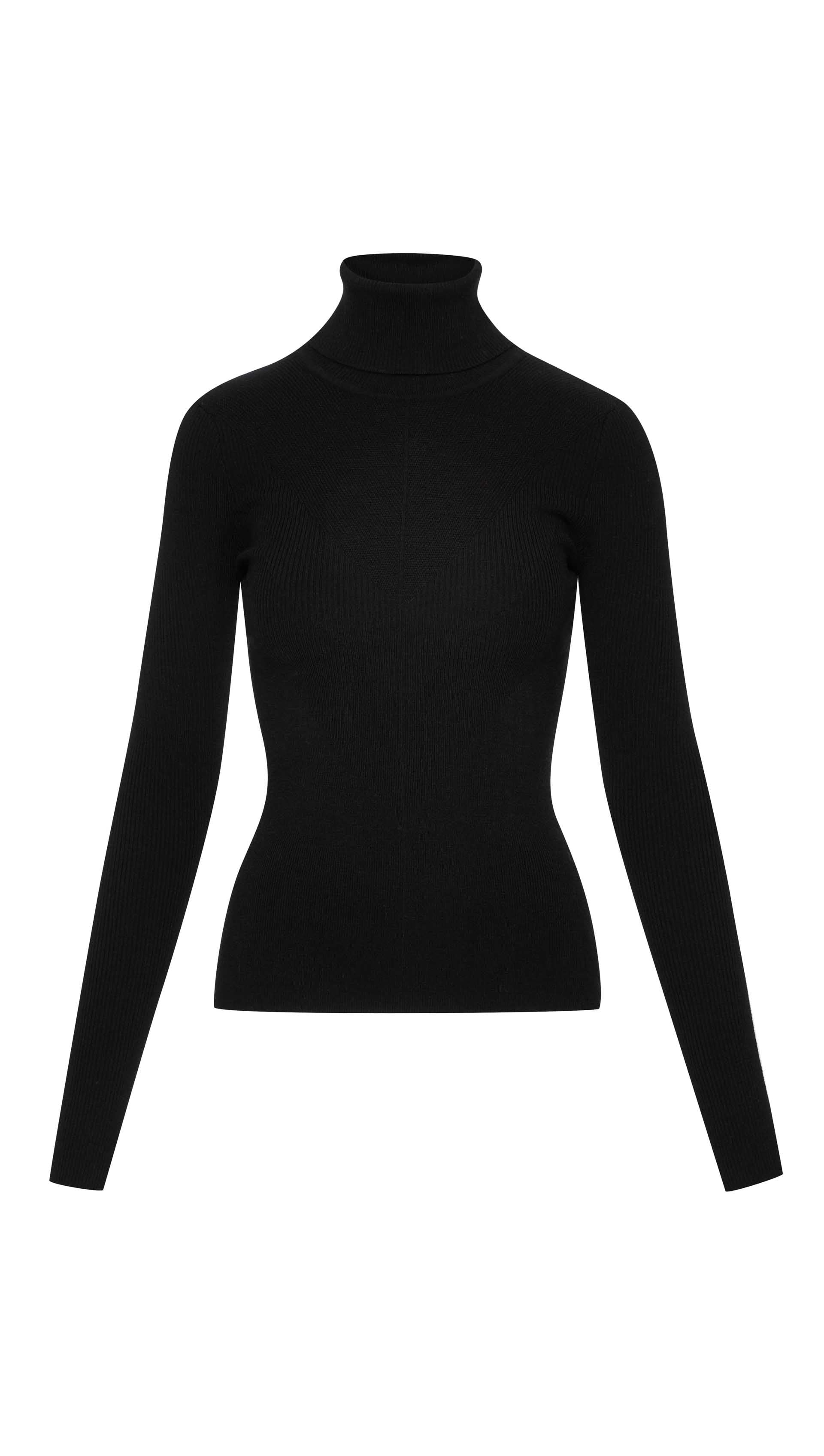 Knit Turtleneck in Stretch Wool Women's Tops Argent